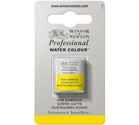 Winsor & Newton Professional - Vernici ad acquerello, vivaci e resistenti alla luce, pigmenti per artisti, 1/2 GODET, colore: Gommagutta Nuova