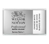Winsor & Newton Professional - Vernici ad acquerello, vivaci e resistenti alla luce, pigmenti per artisti, GODET INTERO, colore: Bianco Di Cina