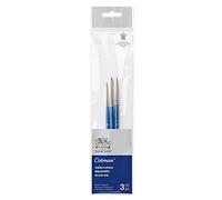 Winsor & Newton Set 3 Pennelli Cotman Manico Corto - Tondi N°1, 3, 5