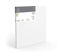 Winsor & Newton - Telaio professionale in lino, 50 x 50 cm