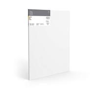 Winsor & Newton - Telaio professionale in lino, 80 x 100 cm