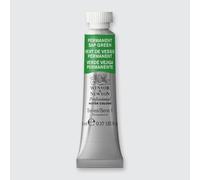 Winsor & Newton - Tubetto di acquerello professionale Artists’ da 5 ml Permanent Sap Green (S1)