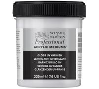 Winsor & Newton - Vernice acrilica lucida, resistente ai raggi UV, 225 ml