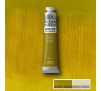 Winsor & Newton Winton Colori Ad Olio 200Ml Tubetti, 55 Colori Disponibili