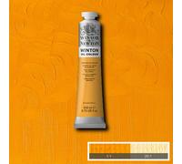 Winsor & Newton Winton Colori Ad Olio 200Ml Tubetti, 55 Colori Disponibili
