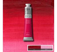 Winsor & Newton Winton Colori Ad Olio 200Ml Tubetti, 55 Colori Disponibili