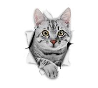 Winston & Bear Adesivi da Parete Gatto Grigio Soriano - Adesivi con Gatto 3D - 2 Confezioni - Frigorifero - Bagno - Camera - Automobile - Vendita al Dettaglio