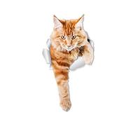 Winston & Bear - Adesivi da parete per gatti con zenzero rampicante, confezione da 2 pezzi, colore arancione per WC con gatto - adesivo 3D per finestrino e paraurti