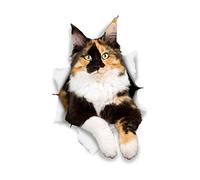 Winston & Bear Cat Adesivi 3D - 2 Pack - Calico Adesivi Per muro, Frigo, servizi igienici e più Calico Cat Adesivi