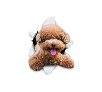 Winston & Bear Dog Adesivi 3D - 2 pezzi - Sorridente barboncino per la parete, frigorifero, servizi igienici e più marrone barboncino cane Stickers