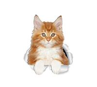 Winston & Bear - Set di 2 adesivi da parete a forma di gatto del Maine Coon Gattino del Maine Coon Gatto, adesivi 3D per finestrini e paraurti, confezione da 2