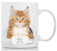 Winston & Bear Tazza Gatto Maine Coon Rosso - Tazza da caffè in Ceramica Soggetto Gatto Maine Coon - Il Regalo Perfetto con Soggetto Gatto Maine Coon Arancione per Amanti dei Gatti (330 Grammi)