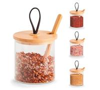Wintem Barattolo Contenitore Portaspezie in Vetro 320ml con Coperchio Ermetico Salva Freschezza con Cucchiaino in Bambù - Ideale per Conservare e Organizzare Spezie o Condimenti in Polvere