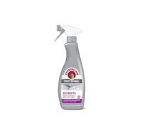 Wintem Detergente Sgrassatore Antimuffa 700ml per Bagno e Cucina - Ottimo per Eliminare e Prevenire la Muffa e lo Sporco Incrostato con Formula Igienizzante per Eliminare Qualsiasi Germi e Batteri