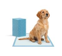 Wintem - Set 25 Traversine Cani 60x90 Super Assorbenti con Anti-Odore e Formula 3gSAP, Tappetini Igienici con 4 Angoli Adesivi per Addestramento e Uso Quotidiano, Dermatologicamente Testati