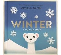Winter: A Pop-up Book: David Carter