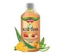 Winter Aloe Vera da Bere Immuno C con Rosa Canina e Acerola - Succo N