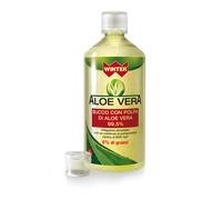 WINTER ALOE VERA SUCCO/POLPA 1 LT