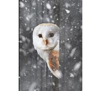 Winter Barn Owl Hardcover Notebook/Journal