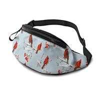 Winter Birds Berries Pattern Casual sportivo leggero regolabile per sport Corsa Escursionismo Bicicletta Camminata