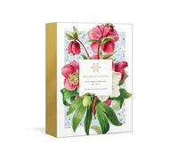 Winter Botanicals: Note Cards and Envelopes: Set of 12