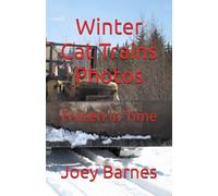 Winter Cat Trains Photos: Frozen in Time