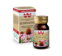 Echinacea Winter(R) 30 Capsule