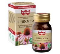 WINTER ECHINACEA 30CPS VEG