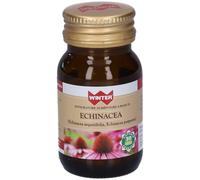 Winter Echinacea Capsule 12,6 g Capsule