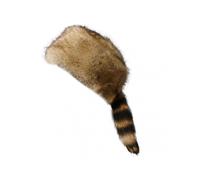 Winter Hat Faux Fur Raccoon Tail Russian Round Flat Top Ear Protection Thickened Autumn Winter Thermal Women Cap for Camping