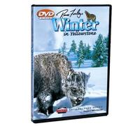 Winter in Yellowstone [DVD] [Region 1] [US Import] [NTSC]