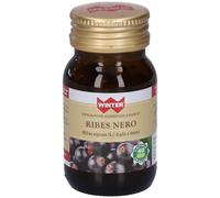 Winter Ribes Nero Capsule 19,8 g Capsule