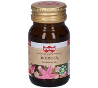 Winter Rodiola Capsule 12,5 g Capsule