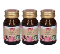 Winter Rodiola Capsule 3x12,5 g Capsule