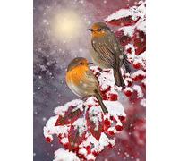Winter Scenery Two Tit Birds Sit On A Snow-Covered Tree Branch Flag Durevole Bandiera Da Giardino Resistente Alle Intemperie Bandiera Per Festival Feste Interno 30X45Cm