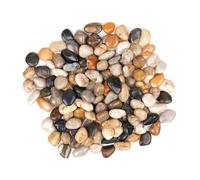 Winter Shore 2,25 kg Sassi di Fiume per Piante, 170 Pezzi per Sacchetto | Pietre Decorative Levigate 2-4 cm, per Artigianato, Riempimento di Vasi, Sassi per Acquario, Piante Grasse