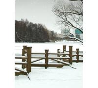 Winter Stroll in the Park Gratitude Journal: 8.5 x 11 100 lined pages in notebook