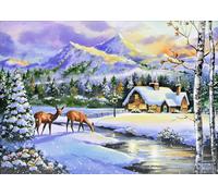 `Winter Sunset Deluxe Boxed Holiday Cards (20 Cards, 21 Self-Sealin... ACC NUOVO