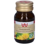 Winter Tarassaco Capsule 13,3 g Capsule