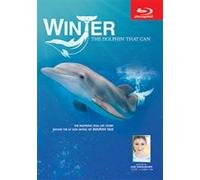 Winter, The Dolphin That Can Blu-ray Disc