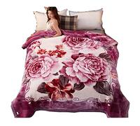 Winter Thick Double-Layer Raschel Blanket Wedding Red Double Happiness Coral Fleece Warm Blanket Dowry Blanket (Color : B Size : 200 * 230cm)