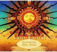 WINTER TREE - MR SUN