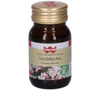 Winter Valeriana Capsule 17,4 g Capsule