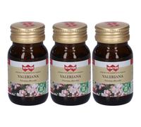 Winter Valeriana Capsule 3x17,4 g Capsule