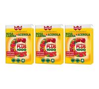 Winter Vitamina C Plus 1000 Rosa Canina e Acerola Compresse Masticabil