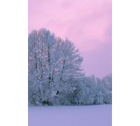 Winter Whispers Notebook