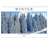 Winter. Zauberhafte Schneelandschaften (Tischkalender 2026 DIN A5 quer), CALVENDO Monatskalender: Ein Spaziergang durch märchenhafte Winterlandschaften