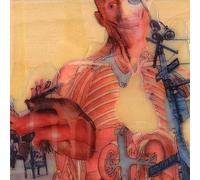 Wintersleep - Untitled - Marble Colored Vinyl