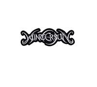 Wintersun Melodic Death Metal Band Distintivo Ricamato Applicazioni Il Ferro Sulla Toppa Patch Accessorio