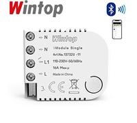 Wintop DIY Wifi Bluetooth Smart Life Switch modulo Alexa, singolo 16A One Gang universale WiFi, compatibile con Google Home Assistant per luci elettrodomestici